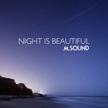 Artwork for "Night Is Beautiful"