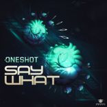 Portada para "Say What"