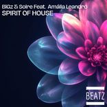 Artwork for "Spirit Of House"