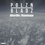 Artwork for "Afterlife / Ruminate"