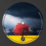 Artwork for "Tune 44"