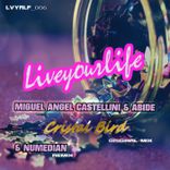 Portada para "Cristal Bird"