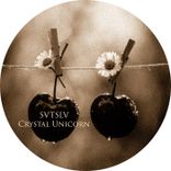 Artwork voor "Crystal Unicorn"