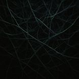 Artwork for "WTF The Album"