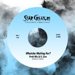 Whatcha Waiting For?