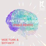 Portada para "Can't Forget You (Paax Remix)"