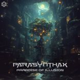 Artwork for "Paradise of Illusion"