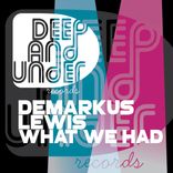 Artwork voor "What We Had"