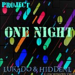 Artwork for "Project: One Night"