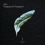 Artwork for "Feeling of Freedom"