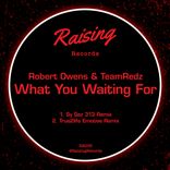 Portada para "What You Waiting For"