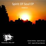 Artwork for "Spirit of Soul"