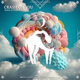 Artwork for "Crash on You"
