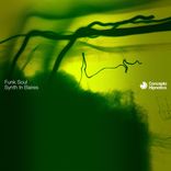 Artwork für "Synth In Baires"