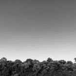 Artwork for "Harmony Texture, Pt. 2"