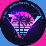Portada para "Summer Disco Night"