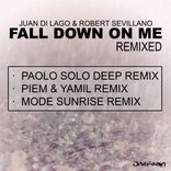 Artwork voor "Fall Down On Me Remixed"