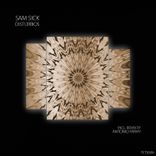 Artwork for "Distúrbios"