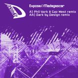 Artwork for "Madagascar"