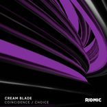 Artwork for "Coincidence / Choice"