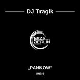 Artwork for "Pankow"