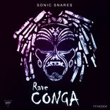 Portada para "Rave Conga"