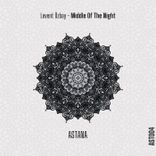 Artwork for "Middle of the Night"