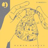 Artwork für "Human Larvae"