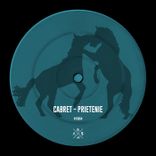 Artwork for "Prietenie"