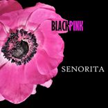 Artwork for "Blackpink"
