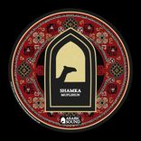 Artwork for "Muflihun"