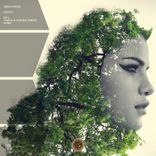 Portada para "Mantis"