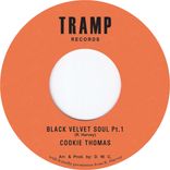 Artwork for "Black Velvet Soul"