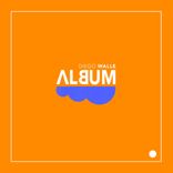 Artwork voor "Album"