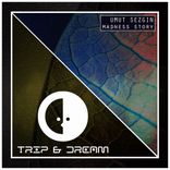 Artwork for "Madness Story"