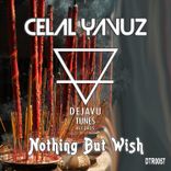 Portada para "Nothing but Wish"