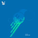 Portada para "Secret Key"