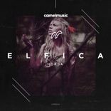 Possessed of the Forest