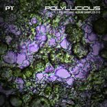 Portada para "Polylucious - Polytechnic Album Sampler 010"