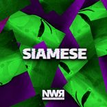 Artwork for "Siamese"