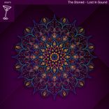 Artwork for "Lost in Sound"