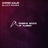 Artwork for "Black Roses"