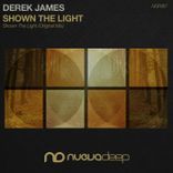 Artwork for "Shown the Light"