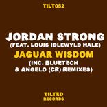 Artwork voor "Jaguar Wisdom"