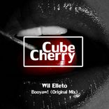 Portada para "Booyaw!"