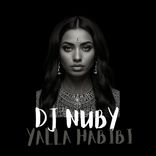 Artwork voor "YallA Habibi"