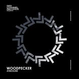 Artwork for "Woodpecker"