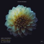 Twisted Circles (Original)