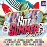 Artwork voor "Hot Summer 2013 by Club33"