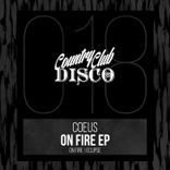 Artwork for "On Fire"